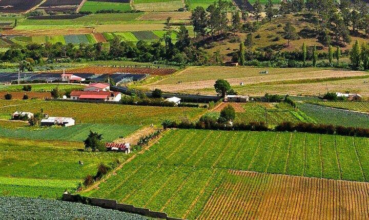 Terrenos